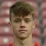 Niklas Geisler